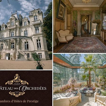 Chateau Des Orchidees En Val De Loire ソミュール エクステリア 写真