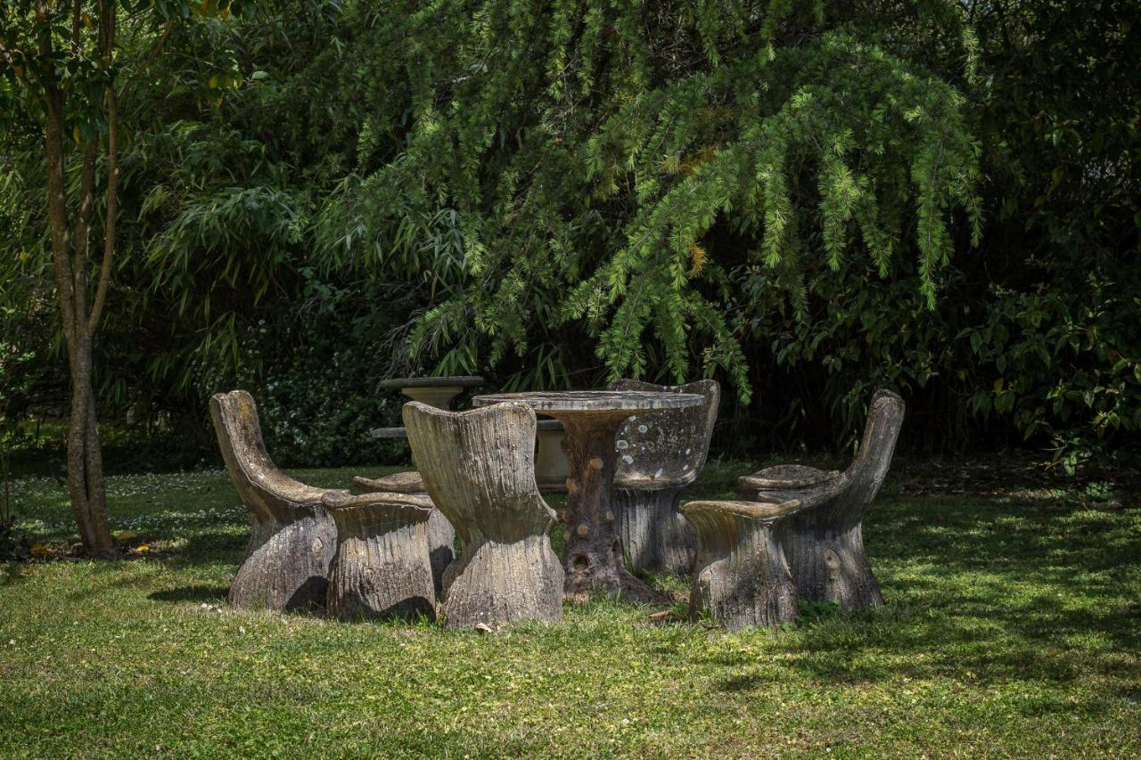 Chateau Des Orchidees En Val De Loire ソミュール エクステリア 写真