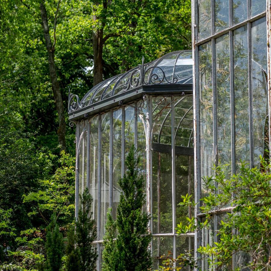Chateau Des Orchidees En Val De Loire ソミュール エクステリア 写真