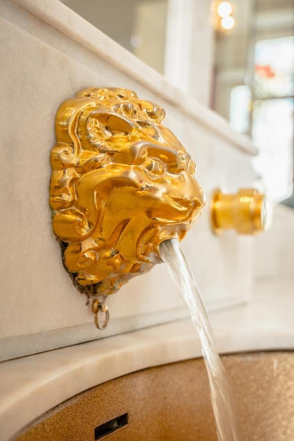 Chateau Des Orchidees En Val De Loire ソミュール エクステリア 写真