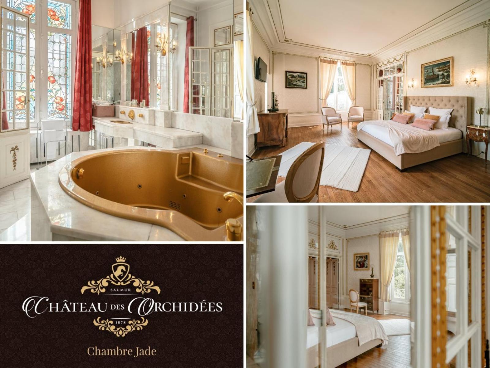 Chateau Des Orchidees En Val De Loire ソミュール エクステリア 写真