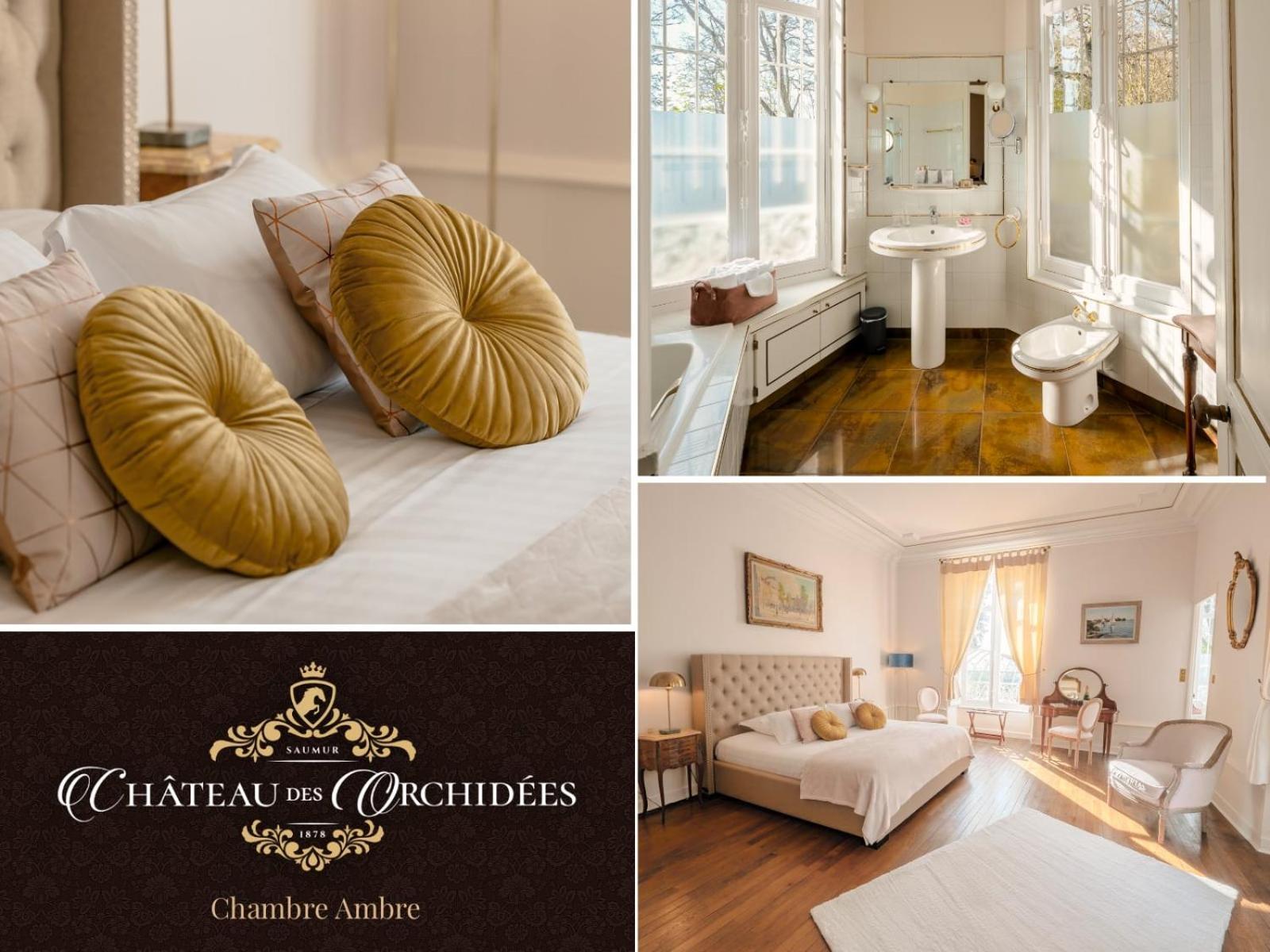 Chateau Des Orchidees En Val De Loire ソミュール エクステリア 写真